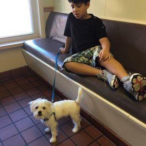 Meet your Posher, Daniel